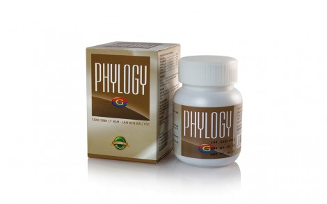 phylogy