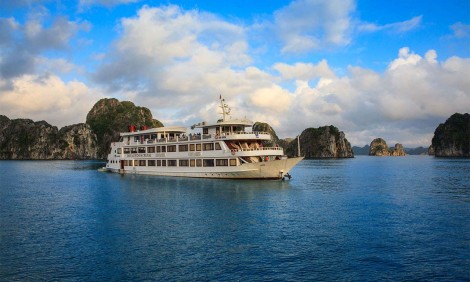 Royal Wings Cruise
